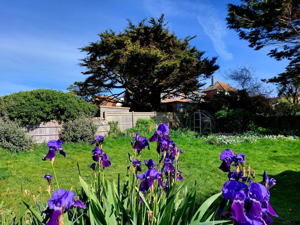 4 Bedroom Chalet Bungalow for Sale in Seaford, BN25 1BB